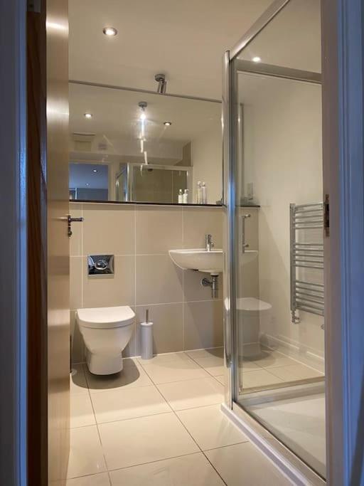 Modern Apartment, Fistral Beach New Quay Zewnętrze zdjęcie